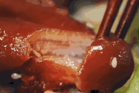 圖片.png 圖片.png